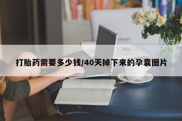购买米非司酮片打胎药微信打胎药需要多少钱/40天掉下来的孕囊图片